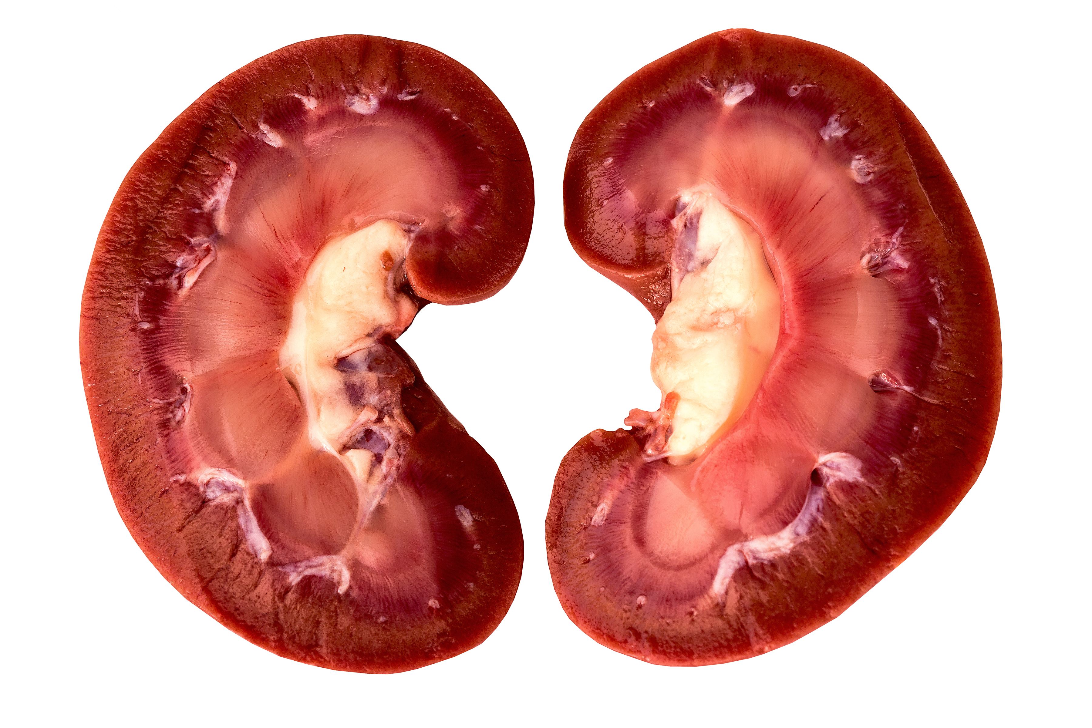 Halal Lamb Kidney
