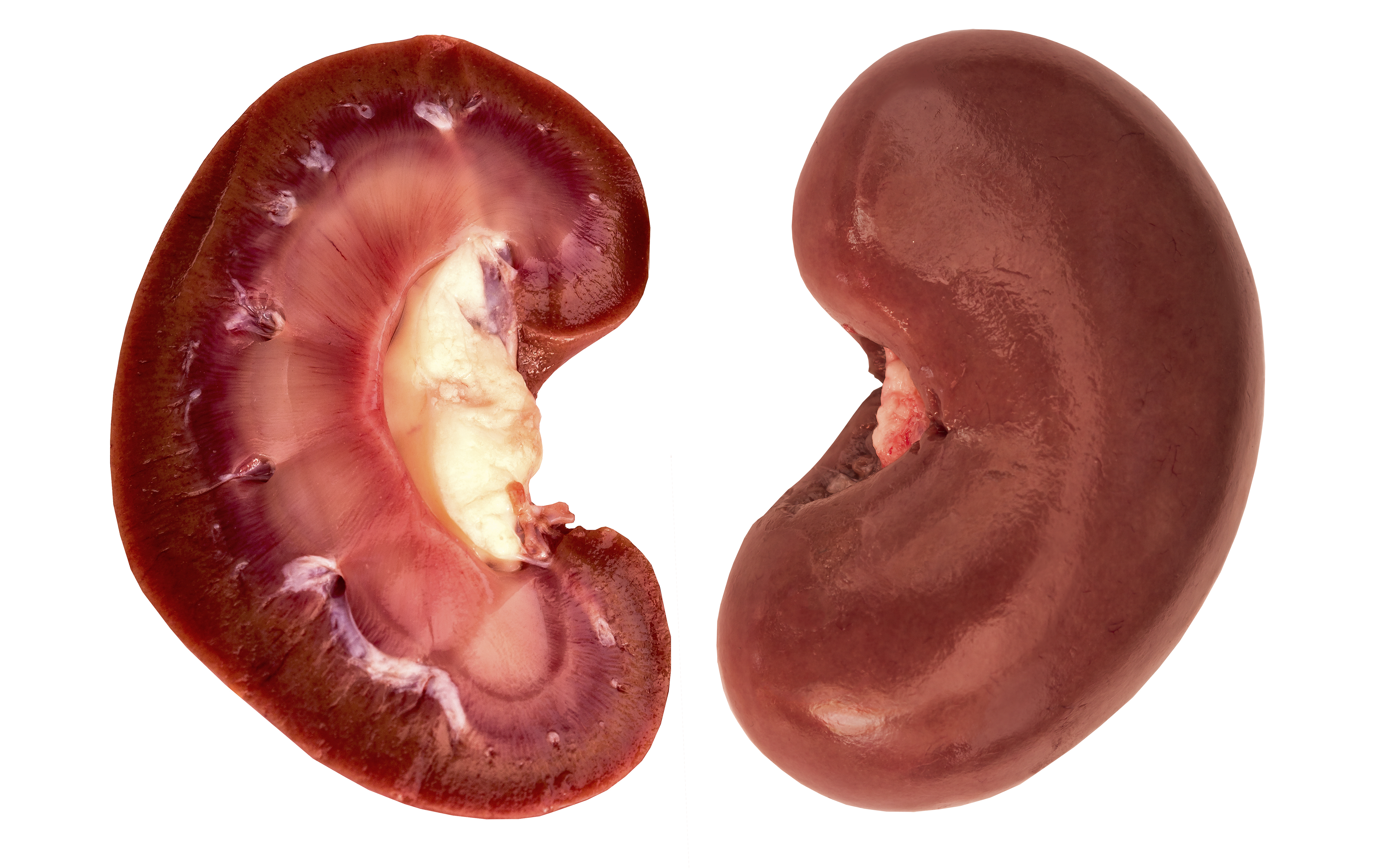 Halal Goat Kidney