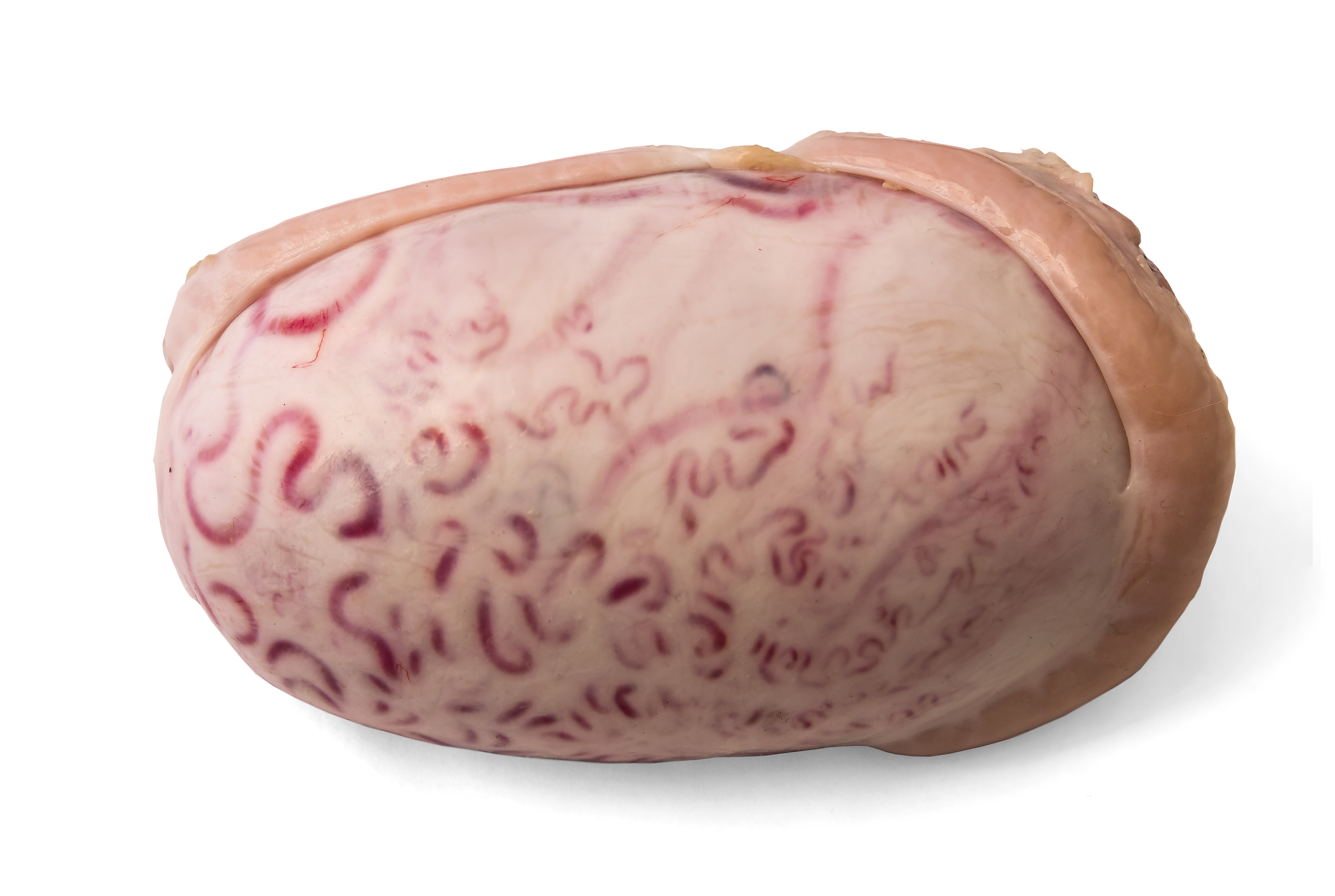 Halal Testicles