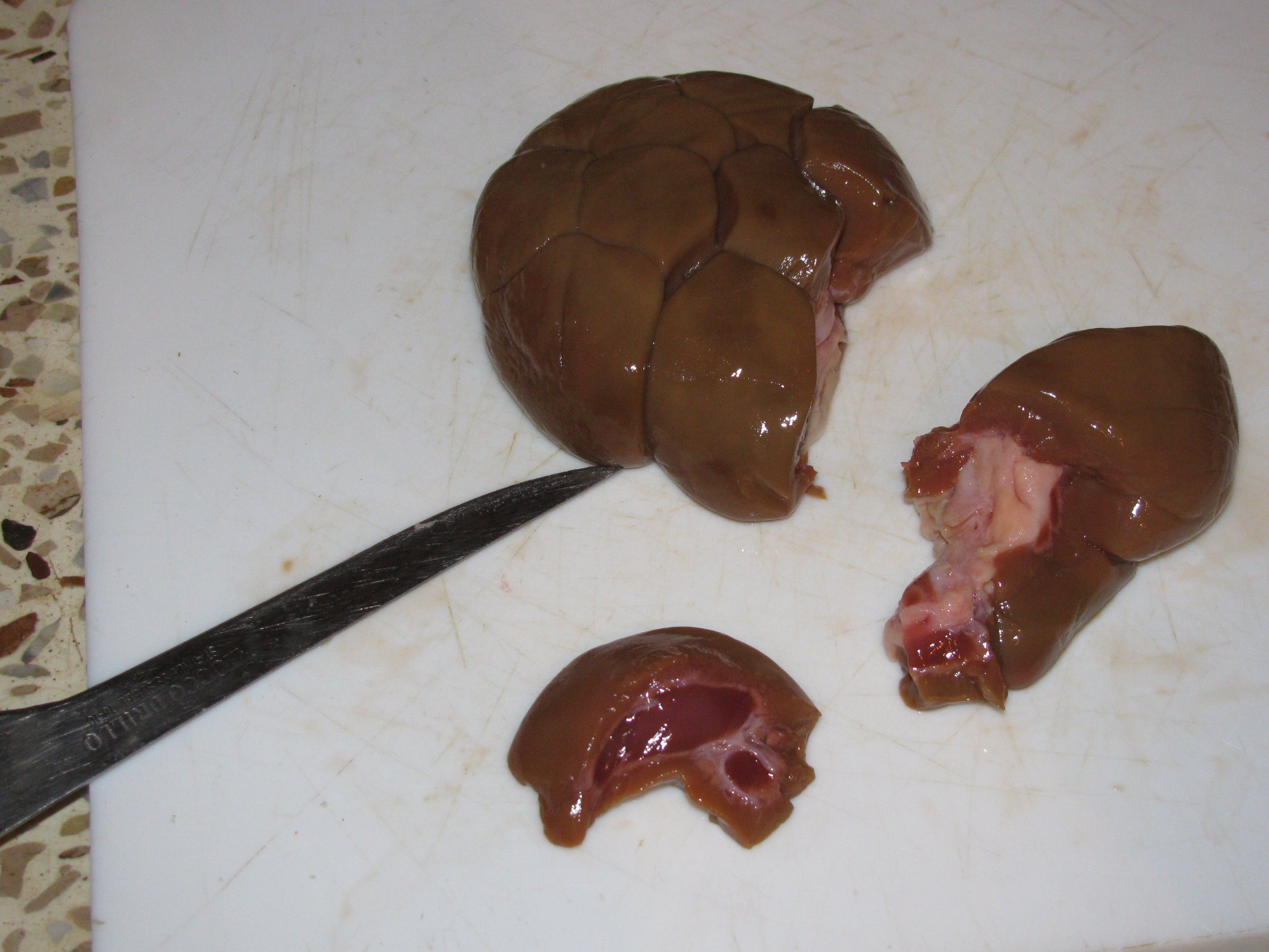 Halal Beef Kidney